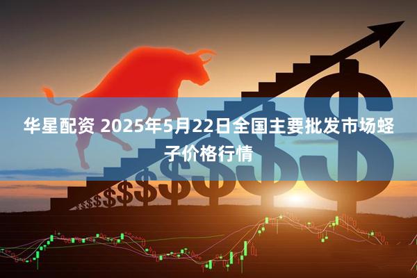 华星配资 2025年5月22日全国主要批发市场蛏子价格行情