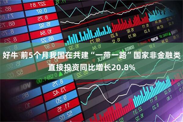 好牛 前5个月我国在共建“一带一路”国家非金融类直接投资同比增长20.8%