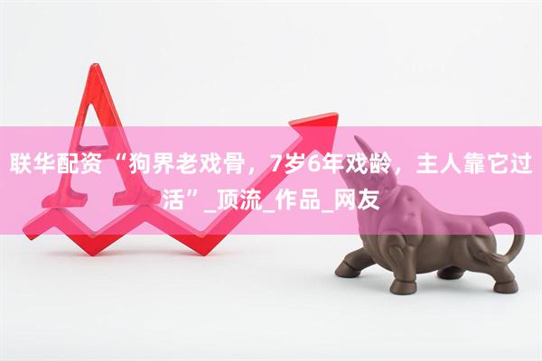 联华配资 “狗界老戏骨，7岁6年戏龄，主人靠它过活”_顶流_作品_网友