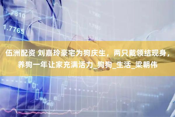 伍洲配资 刘嘉玲豪宅为狗庆生，两只戴领结现身，养狗一年让家充满活力_狗狗_生活_梁朝伟