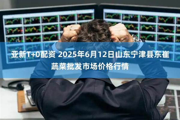 亚新T+0配资 2025年6月12日山东宁津县东崔蔬菜批发市场价格行情